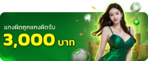 แทงผิดแทงผิดรับ